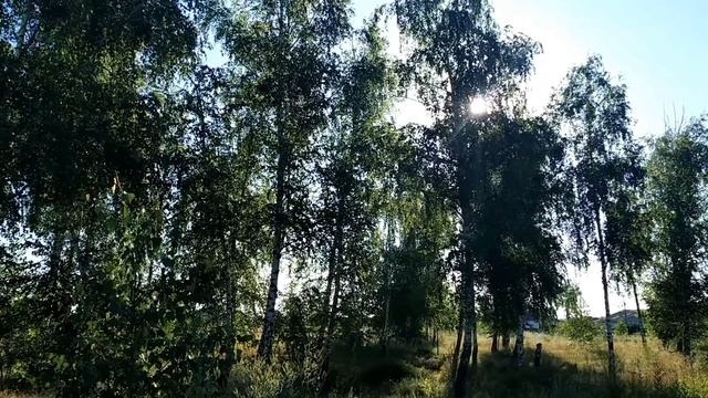 20 июня-ДЕНЬ СВЯТОЙ ТРОИЦЫ. Приметы и ритуалы.Гадания и обряды смотреть онлайн