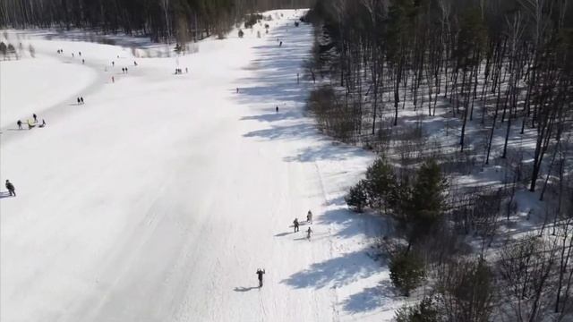 техника катания на беговых лыжах смотреть онлайн