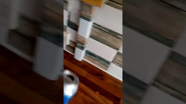 Minelab vanquish смотреть онлайн