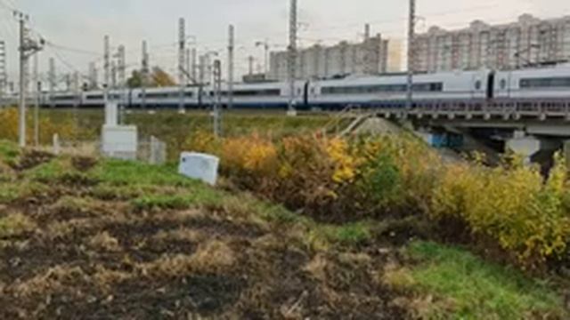 Октябрьская железная дорога обзор часть 2 смотреть онлайн