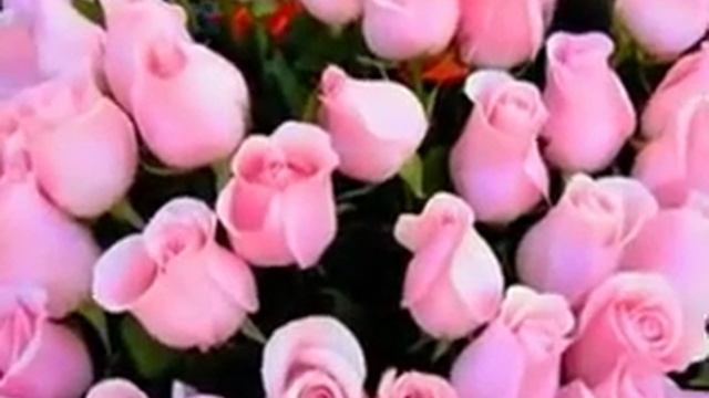 Очень красивое поздравление женщине с днем рождения смотреть онлайн