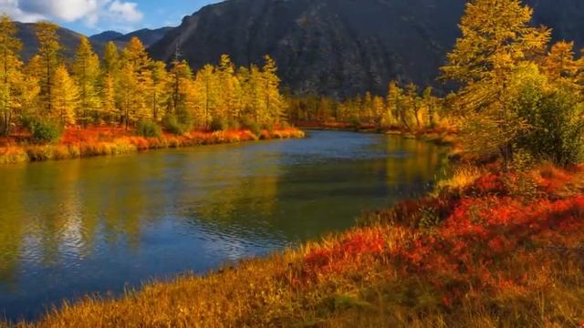 ОСЕНЬ И МОЯ ДУША смотреть онлайн