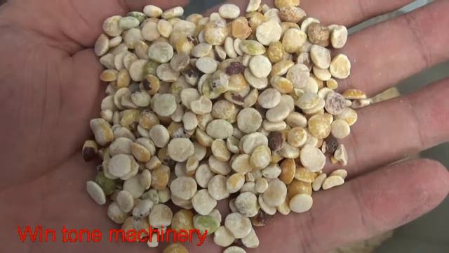 pigeon pea peeling machine from Wintone Machinery