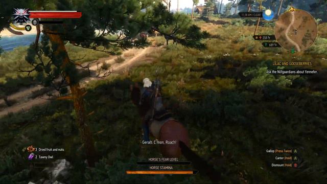 The Witcher 3 - Wild Hunt - PC - Part 6 смотреть онлайн