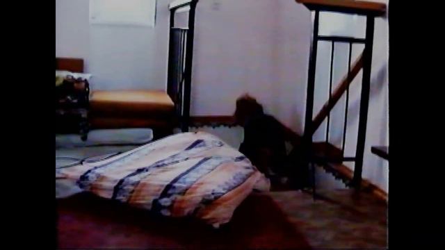 ДОМАШНИЙ АРХИВ 2003г. У ВИТЫ НА ДАЧЕ!!! смотреть онлайн