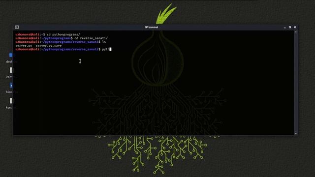 25 - dars | Reverse shell | Offensive Python смотреть онлайн