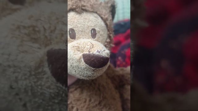 задавайте вопросы в прошлом видео смотреть онлайн