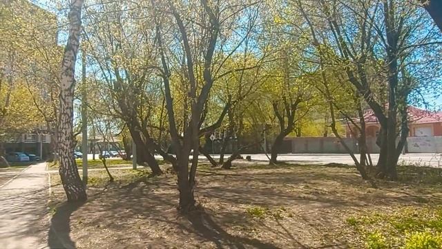 ?9 мая 2022 года Подарок от Влада В цветочном магазине Выбираю вазу смотреть онлайн