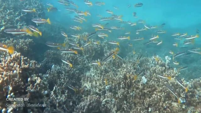 Beautiful Maldives смотреть онлайн