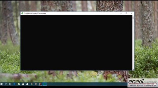 Clear Windows Store Cache with WSReset.exe / clear all windows store