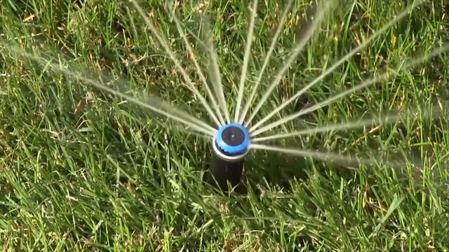 Системы полива и тумана. Компания Укрспецсбыт