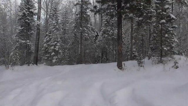 Рыбалка зимой на поплавочную удочку в промоинах на хариуса.Fishing in the winter смотреть онлайн