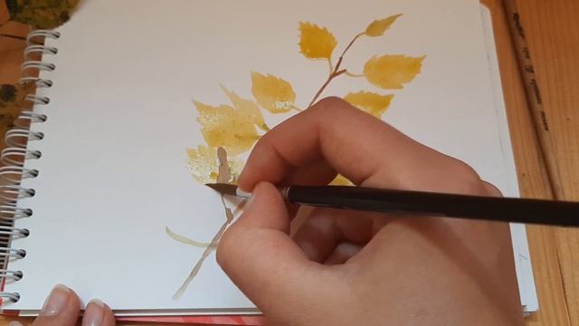 Рисуем осенние листочки берёзы акварелью. Простой урок рисования для новичков смотреть онлайн
