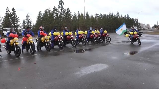 Управление ветеринарии смотреть онлайн