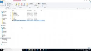 How To Install .Net Framework 3.5 Offline  Windows 10 Without CD /Bootable USB