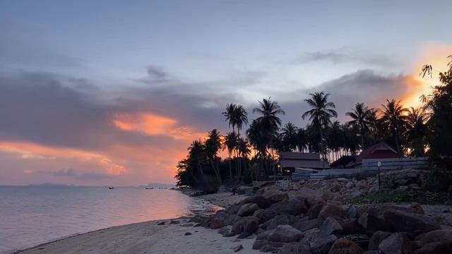 Красивые пальмы море смотреть онлайн