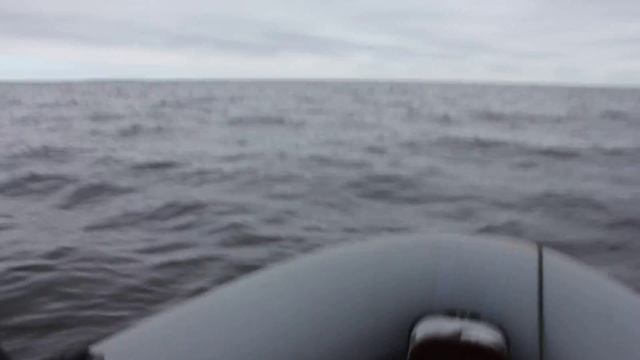 Ладожское озеро, Ботмастер 310К смотреть онлайн