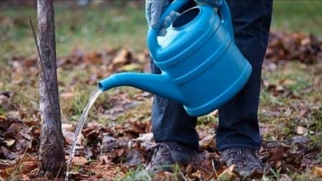 Октябрь - работы в саду смотреть онлайн