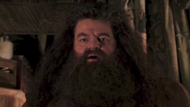 "Get Out Of My House" - Hagrid смотреть онлайн