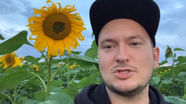 Влог: Как мы отметили годовщину нашей свадьбы смотреть онлайн