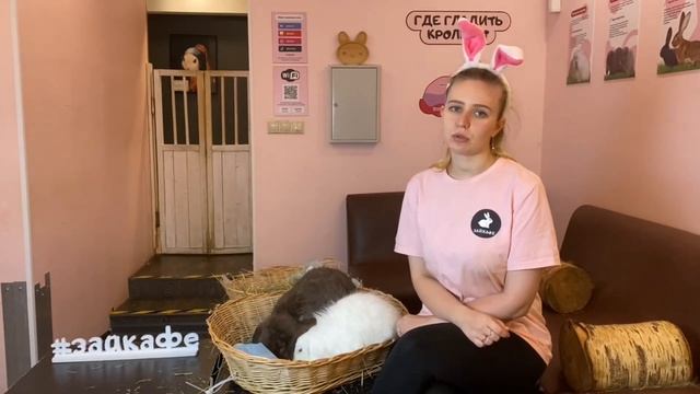 САМЫЕ БОЛЬШИЕ КРОЛИКИ ВЕЛИКАНЫ ! КАК ЖИВУТ БОЛЬШИЕ КРОЛИКИ В АНТИКАФЕ смотреть онлайн