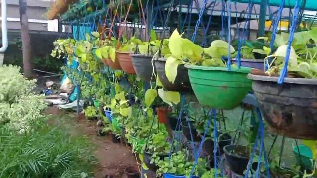 Mannuthi Nursery & Garden смотреть онлайн