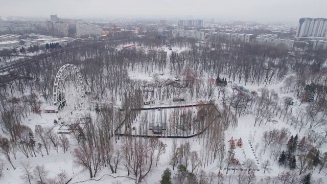 В зимнем парке Гагарина появились необычные цветы смотреть онлайн