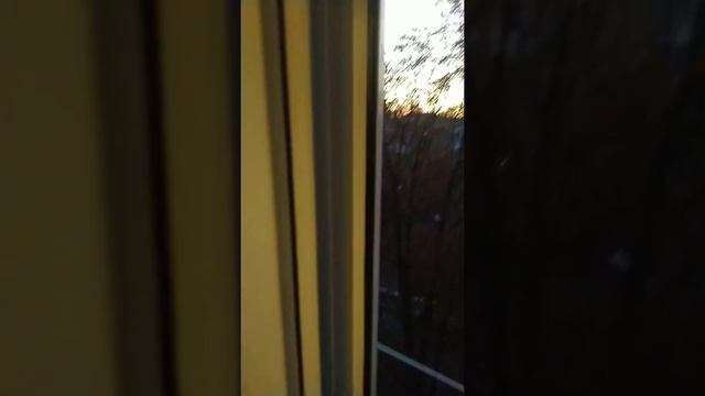 Штульп на балконе. Ростов на Дону смотреть онлайн