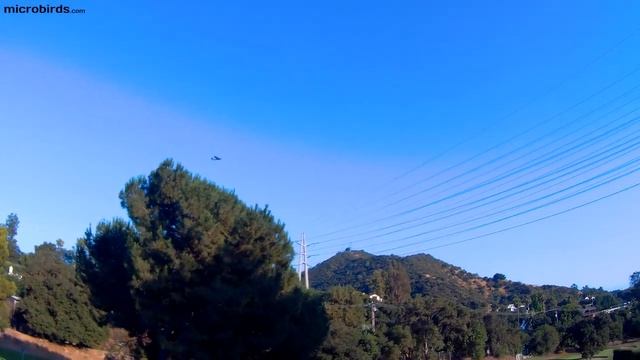 Micro Owl Prototype 4 Electric RC Glider Test Flight смотреть онлайн