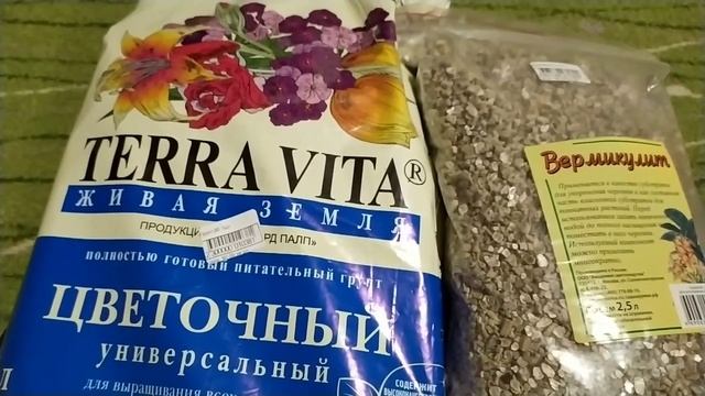 ФИАЛКИ. ПЕРЛИТ ИЛИ ВЕРМИКУЛИТ? ГРУНТ ДЛЯ ФИАЛОК. смотреть онлайн