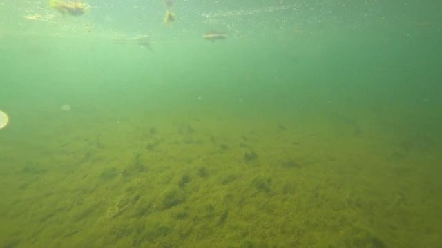 Свердловская область: Река Иргина смотреть онлайн