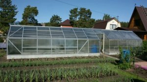 Теплица с каркасом из профиля для гипсокартона.