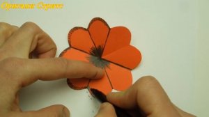 3д открытка с цветами. Цветы из бумаги.