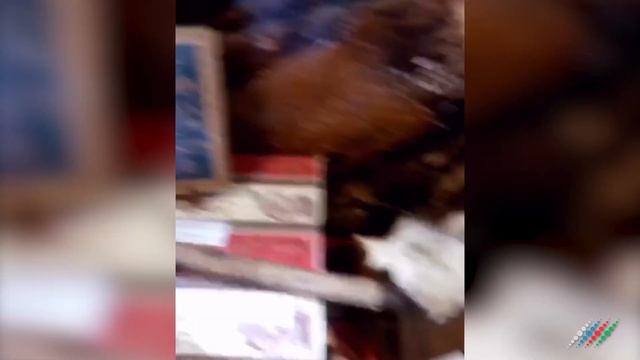 Армения привезла на АрМИ-2019 в Россию портрет коллаборациониста Гарегина Нжде