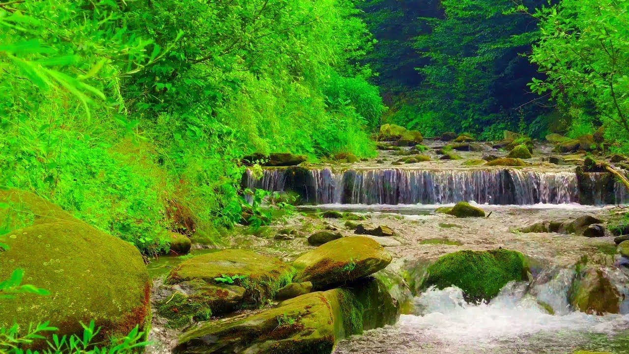 Звуки воды Со Звуками Природы ✦ Пение Птиц В Лесу ✦ Релакс смотреть онлайн