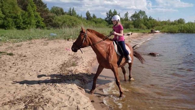 Первая самостоятельная прогулка на лошади. Хутор Утешение. смотреть онлайн