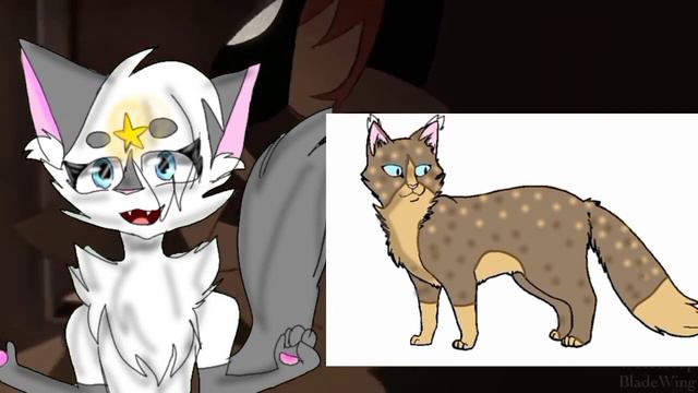 💞ТЕСТ 💞 как ты будешь выглядеть в котах воителях?! #возродимрукв #котывоители #кв #КВ #тесты#АУ смотреть онлайн