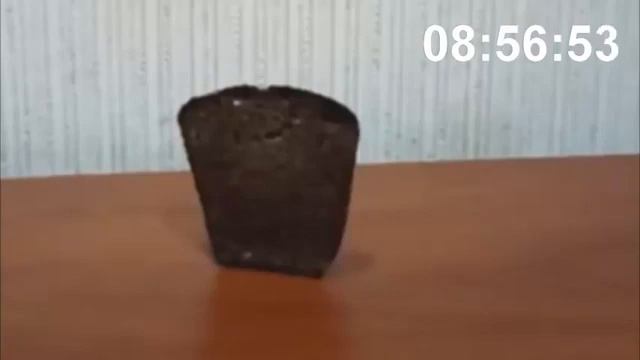 хлеб упадёт через 10 часов /ХЛЕБ СТОЯЛ ПОТОМ УПАЛ 1 ЧАСТЬ смотреть онлайн
