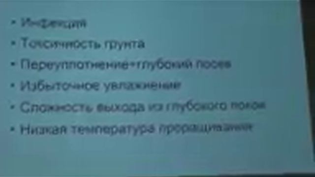 Секреты выращивания рассады на примере томатов смотреть онлайн