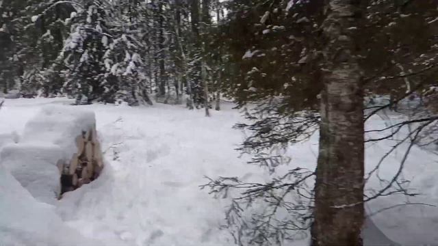 На мототолкаче на заимку смотреть онлайн