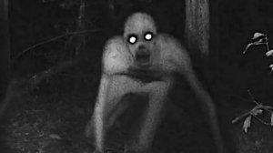 Топ 10 страшных существ снятых на камеру дома