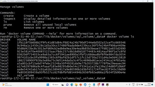 25 volume mounts and SQL queries смотреть онлайн