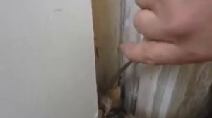 Удаление краски с деревянного окна путем нагрева строительным феном