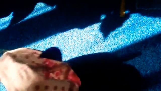 Аж больно стало, пятна от ежевики