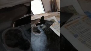 Снятие антенны GPS (плавника) Audi A6C6