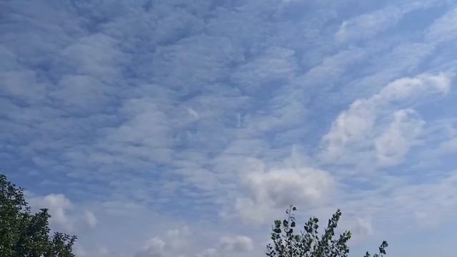 14 августа праздник Медовый Спас. Маковей. Что нужно сделать. Запреты дня. Народные традиции. смотреть онлайн