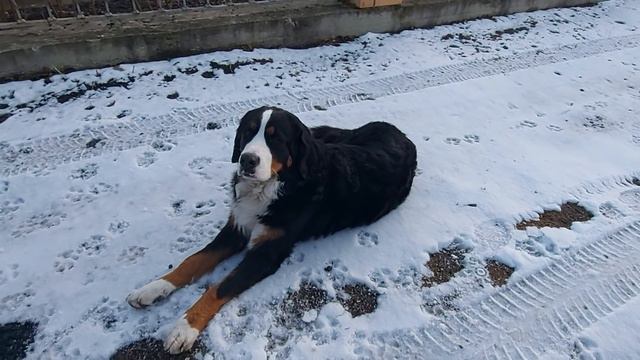Здравствуй Мэри смотреть онлайн