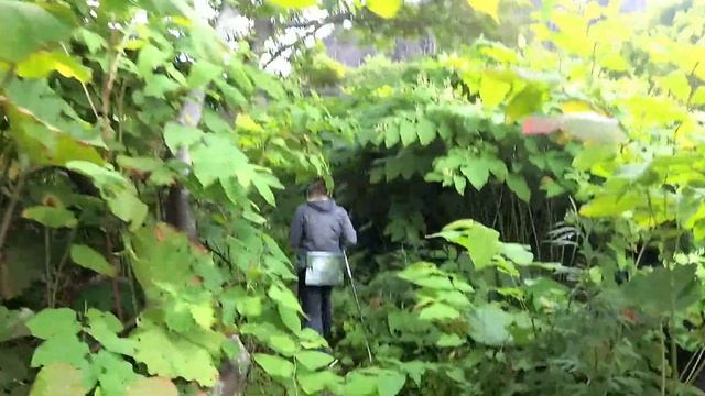 Сахалин-Кунашир 2019 смотреть онлайн