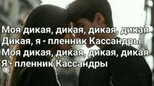 Текст песни : Моя Дикая Кассандра /   2019 год