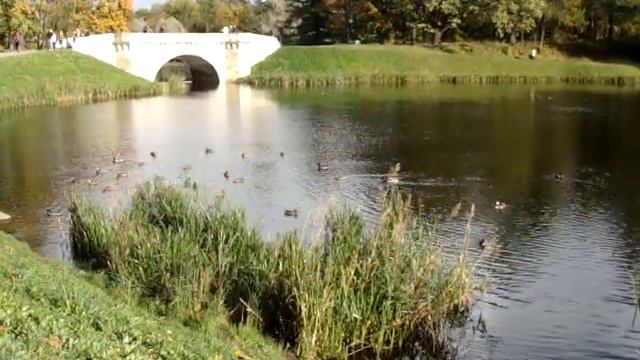 Gatchina Park (Парк в Гатчине) смотреть онлайн